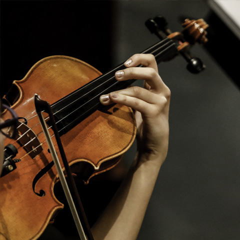 ¡Postula al Festival de Orquestas de Cámara de Cuerdas de la Región de Coquimbo 2021!
