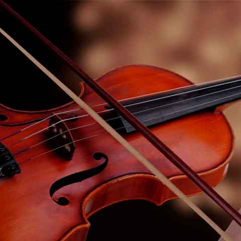 Concurso Instructor(a) de Viola Orquesta Sinfónica Infantil Metropolitana (OSIM)2022